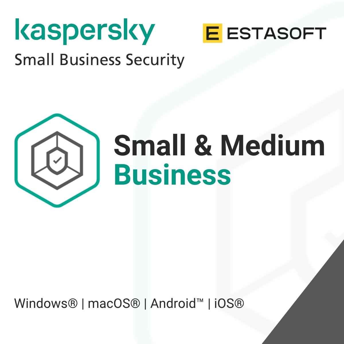 Kaspersky for Small and Medium Business (SMB)