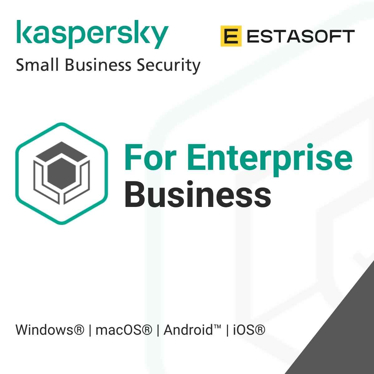 Kaspersky for Enterprise Businesses