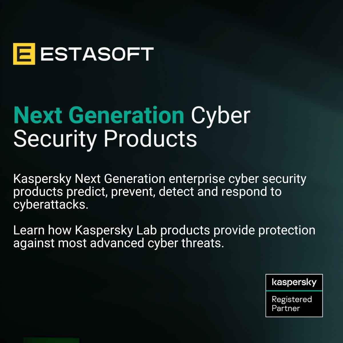 Kaspersky for Enterprise Businesses